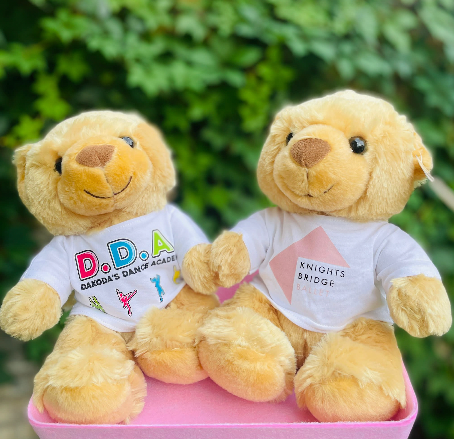Pre- Order - Show Teddy 2026